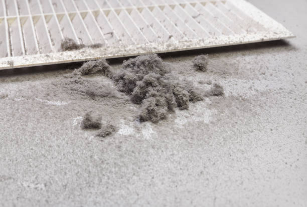 Best HVAC Duct Inspection Services  in Bermuda Run, NC